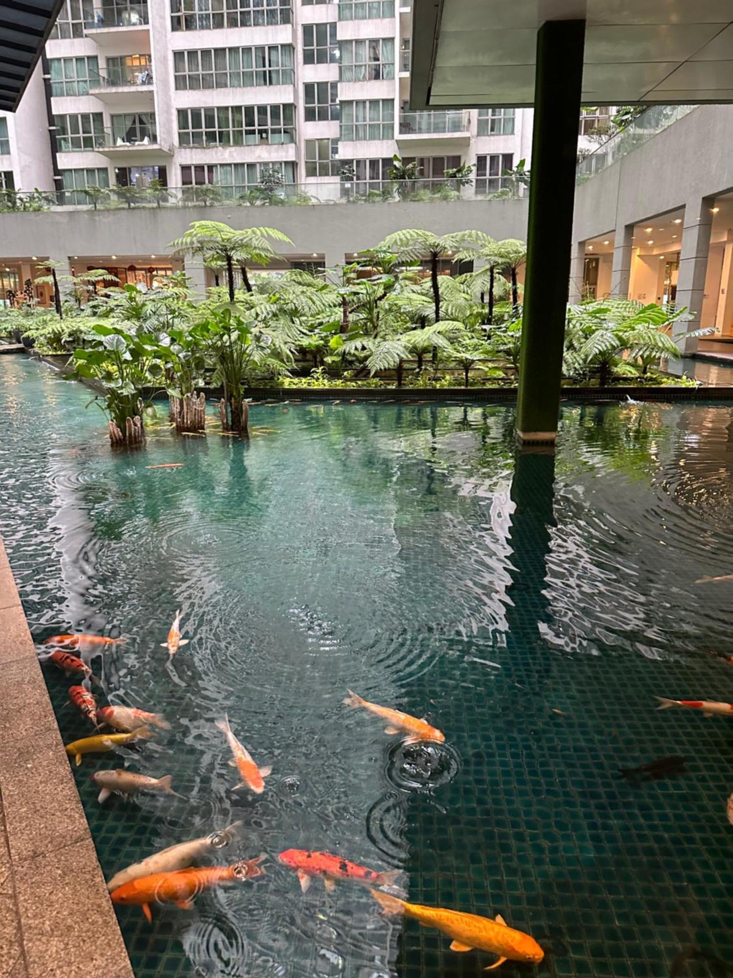 Modern Bauhaus Studio At Regalia Klcc Infinity Pool Kuala Lumpur Buitenkant foto